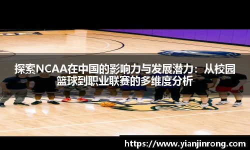 bsports官网入口